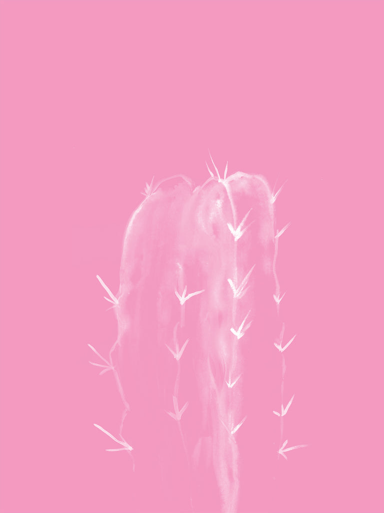 pink cactus