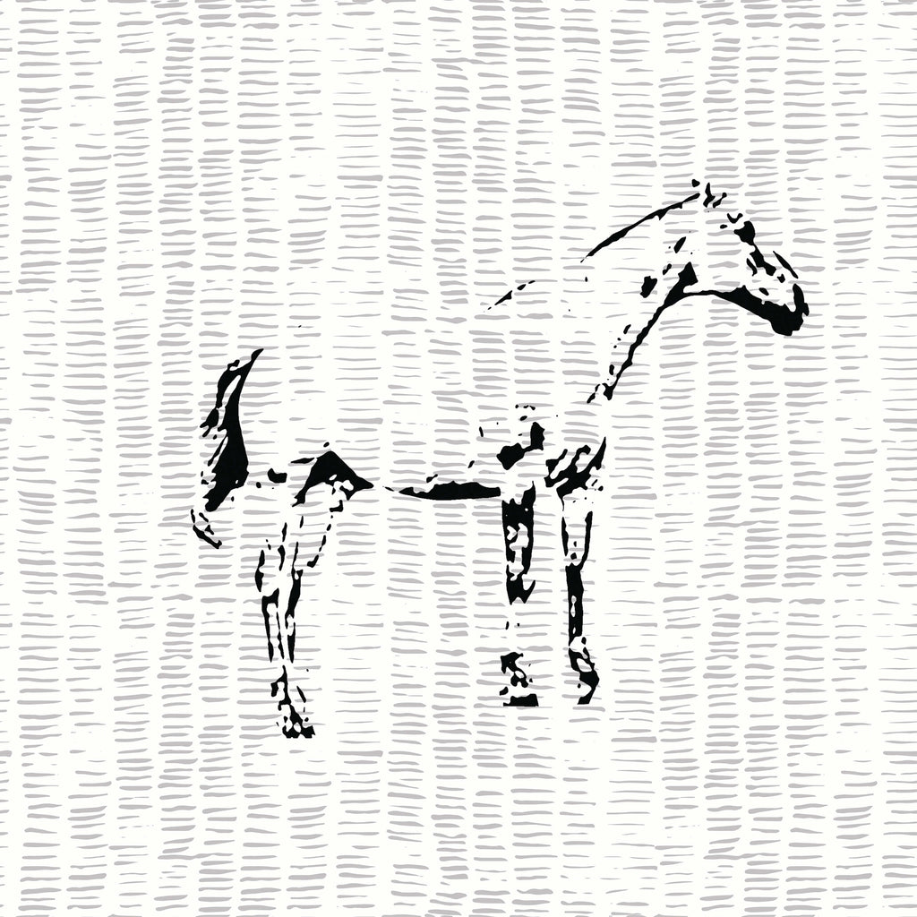 Horse - הדפס לקיר קנבס או נייר - שחור לבן - סוס